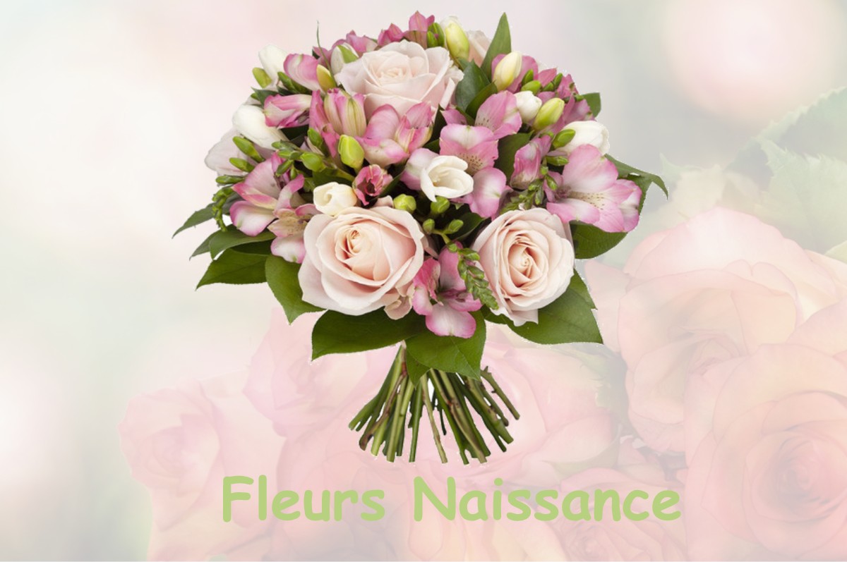 fleurs naissance ISLES-LES-VILLENOY
